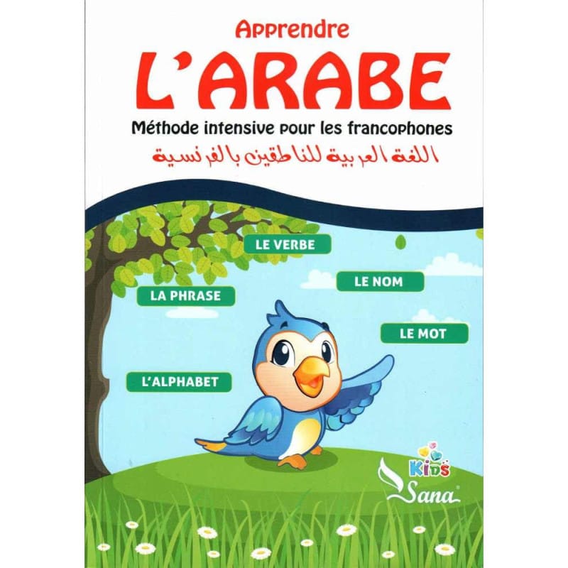 Apprendre l'Arabe : Méthode intensive pour francophones