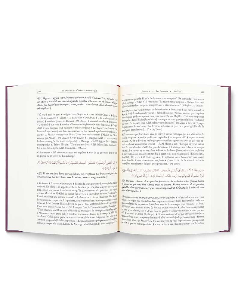 Livre Tafsir Le Laurier De L Exegese Coranique 3 Tomesmohamed Benc... de Mohamed Benchili