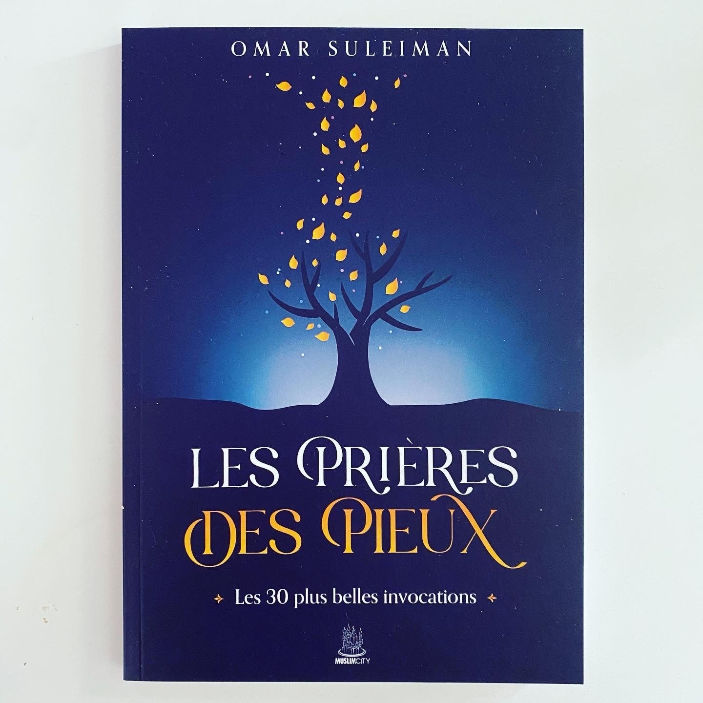 Les prières des pieux | Les 30 plus belles invocations d'Omar Suleiman - Editions MuslimCity