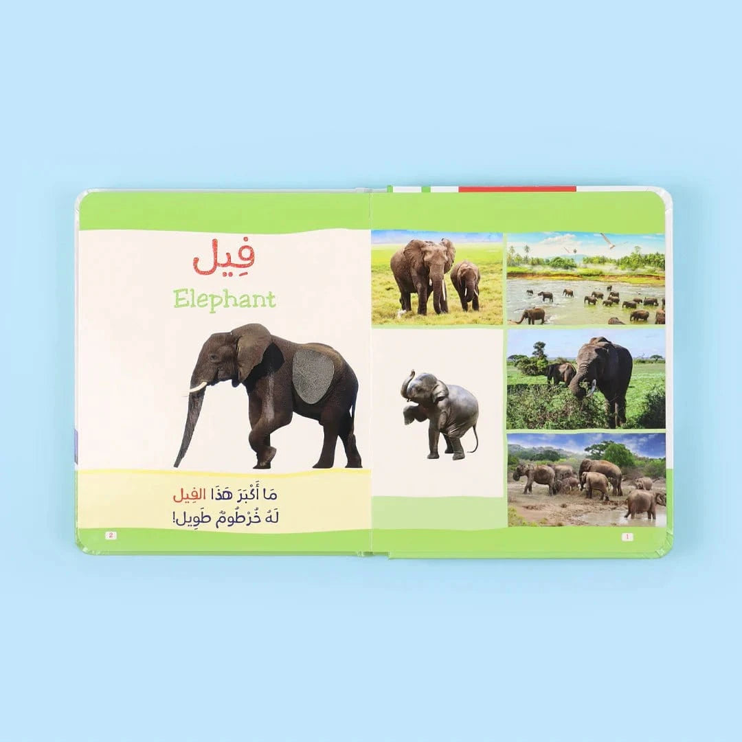 كتاب مونتيسوري الأول: الحيوانات باللمس Digital Future Livres Arabe 9786144951071 Librairie Musulmane Al-imen