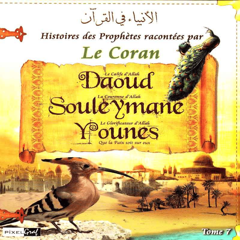 Histoires des Prophètes Daoud Souleymane Younes Tome 7 Sana Livre Islam Enfant 9782356335524 Librairie Musulmane Al-imen