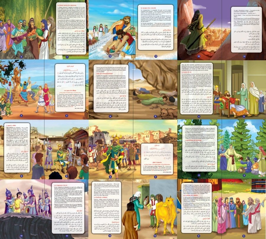 Les meilleurs récits du Saint Coran (bilingue français/arabe) - Tome 2 - أحسن القصص من القرآن الكريم Orientica Livre > Islam 9782356353009 Librairie Musulmane Al-imen