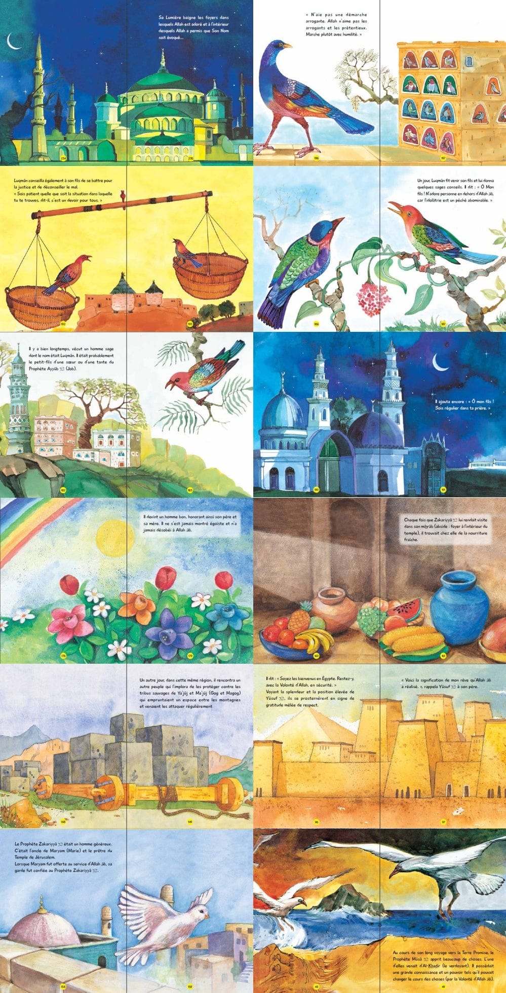 Plus d'Histoires Tirées du Coran — Saniyasnain Khan | Orientica | Livre Islam Enfants Orientica Livre Islam Enfant 9789351790655 Librairie Musulmane Al-imen